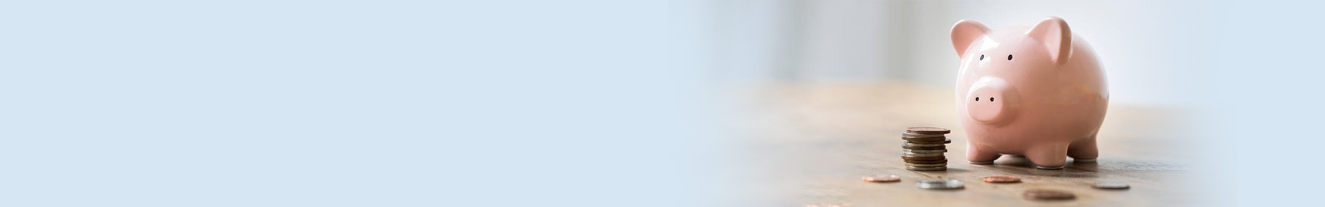BSBDA and Small Savings Account banner