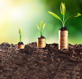 Mutual Funds