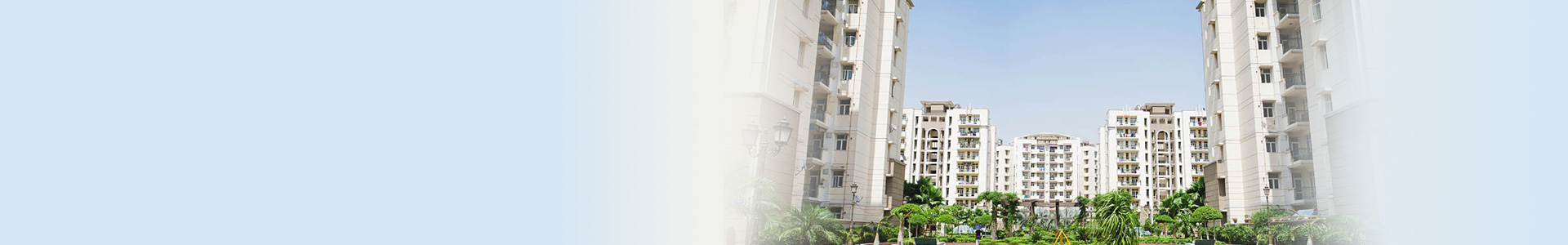 Society Account banner
