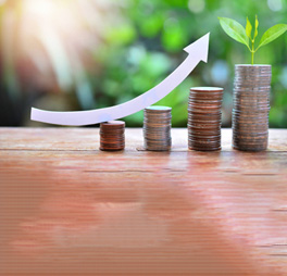 Fixed Deposits